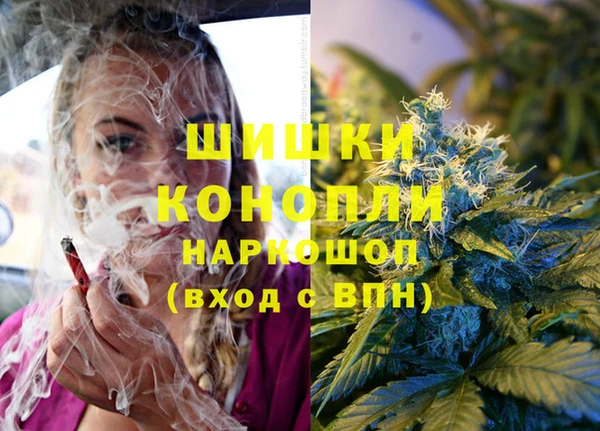 прущая мука Арсеньев