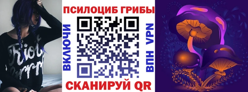 Псилоцибиновые грибы Psilocybine cubensis  Певек 